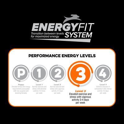 Show full view: Native Level 3 Chicken Flavor Dry Dog Food, 20-lb bag slide 7 of 9