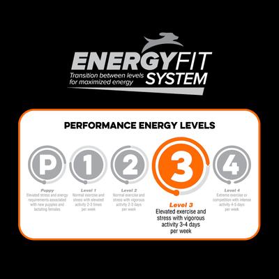 Show full view: Native Level 3 Chicken Flavor Dry Dog Food, 40-lb bag slide 7 of 9