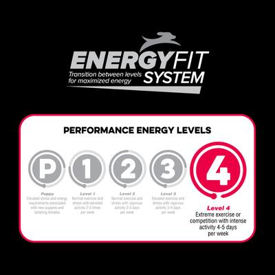 Show full view: Native Level 4 Dry Dog Food, 40-lb bag slide 7 of 10