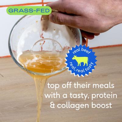 Show full view: Native Pet Beef Bone Broth Powder Food Topper, 4.75-oz + Omega 3 Fish Oil Skin & Coat Health Dog Supplement, 8-oz slide 3 of 10