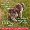 Show in main carousel: Native Pet Cranberry Bladder Chews Kidney & Urinary Supplement for Dogs, 60 count slide 3 of 8