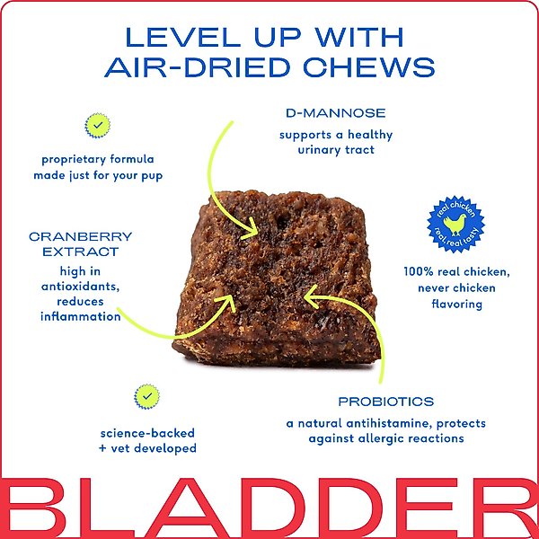 Show full view: Native Pet Cranberry Bladder Chews Kidney & Urinary Supplement for Dogs, 60 count slide 4 of 8
