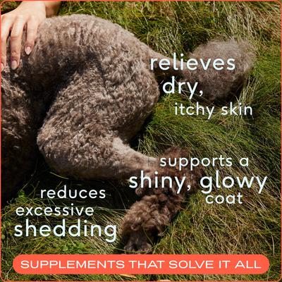 Native Pet Omega 3 Fish Oil To Support Skin & Coat Health Dog Supplement