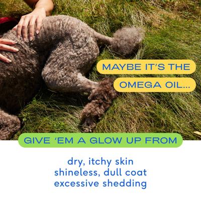 Show full view: Native Pet Omega 3 Fish Oil Skin & Coat Health + Vet-Formulated Probiotics & Prebiotic Dog Supplement slide 5 of 9