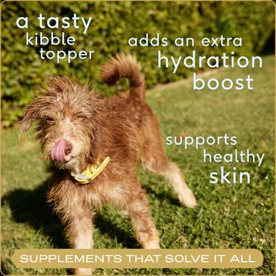 Show full view: Native Pet Organic Chicken Bone Broth Powder Grain-Free Dog Food Topper, 11.5-oz slide 4 of 10