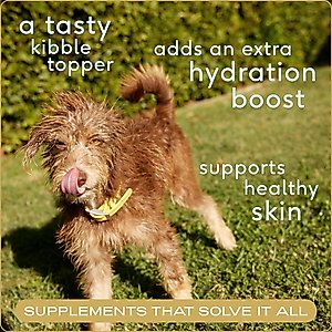 Native Pet Organic Chicken Bone Broth Powder Grain-Free Dog Food Topper, 5.75-oz