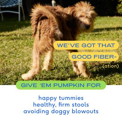 Show full view: Native Pet Organic Pumpkin Fiber & Diarrhea Relief, 8-oz + Allergy Itch Relief Dog Supplement, 60 count slide 5 of 9