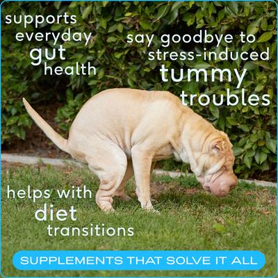 Show full view: Native Pet Probiotic Vet-Formulated Powder Digestive Supplement for Dogs, 16.4-oz slide 4 of 9