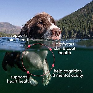 Native Pet Sockeye Salmon Flavored Oil Skin & Coat Health Liquid Supplement for Dogs & Cats, 8-fl oz bottle