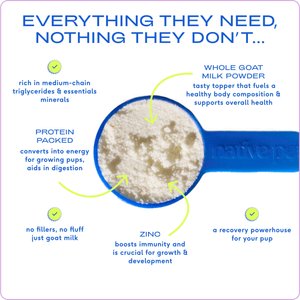 Native Pet Whole Goat Milk Powder Digestive, Recovery & Energy Support for Active Dogs, 7-oz