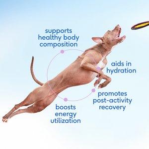 Native Pet Whole Goat Milk Powder Digestive, Recovery & Energy Support for Active Dogs, 7-oz