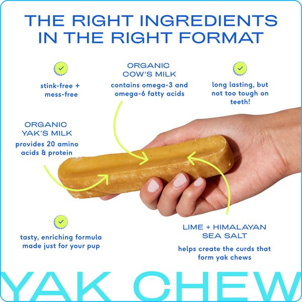 Native Pet Yak Dental Chews Himalayan Cheese Large Dog Treats