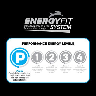 Show full view: Native Puppy Chicken Flavor Dry Dog Food, 20-lb bag slide 7 of 10