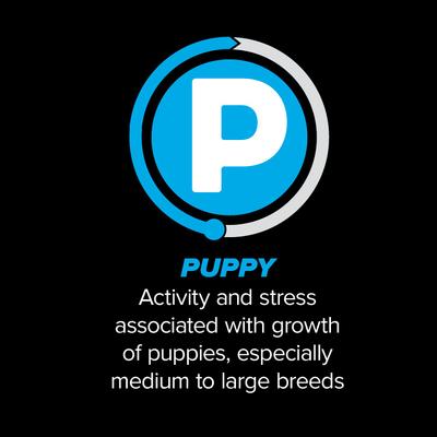 Show full view: Native Puppy Chicken Flavor Dry Dog Food, 40-lb bag slide 5 of 9