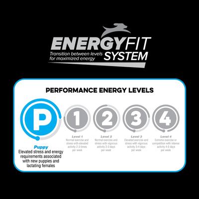 Show full view: Native Puppy Chicken Flavor Dry Dog Food, 40-lb bag slide 6 of 9