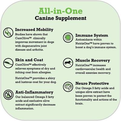 Show full view: NatrixOne Omega 3 Anti-Inflammatory Dog Supplement, 16-fl oz bottle slide 4 of 9