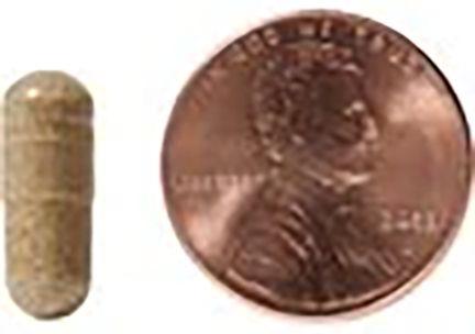 NATURA PETZ ORGANICS Stone Breaker Starter Pack Homeopathic