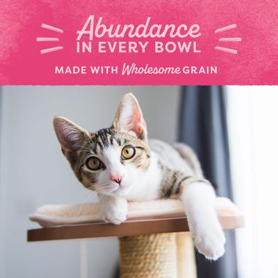 Show full view: Natural Balance Fat Cats with Chicken Meal, Salmon Meal, Garbanzo Beans, Peas & Oatmeal Dry Cat Food, 15-lb bag slide 8 of 10