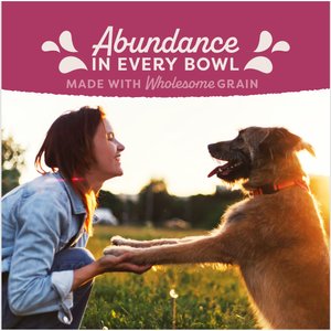 Natural Balance Original Ultra Fat Dogs Chicken & Salmon Formula Low Calorie Weight Management Dry Dog Food, 24-lb bag