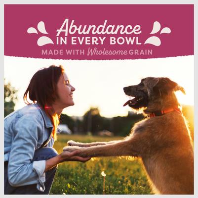 Show full view: Natural Balance Fat Dogs Chicken & Salmon Formula Low Calorie Dry Dog Food, 24-lb bag slide 7 of 12