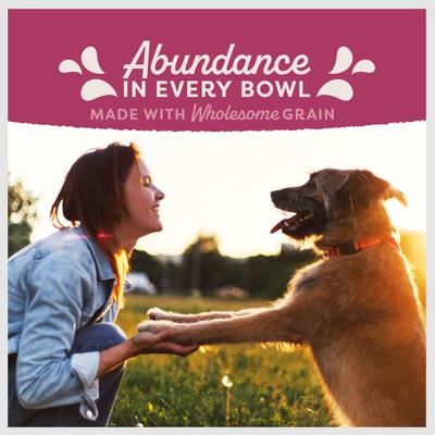 Show full view: Natural Balance Fat Dogs Chicken & Salmon Formula Low Calorie Dry Dog Food, 4-lb bag slide 7 of 10