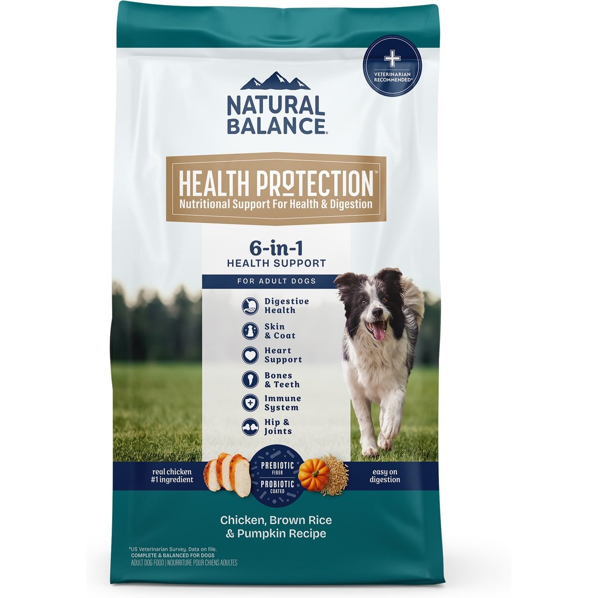 Natural Balance Health Protection Adult Real Chicken, Brown Rice & Pumpkin Dry Dog Food, 4-lb bag