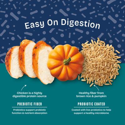 Show full view: Natural Balance Health Protection Adult Real Chicken, Brown Rice & Pumpkin Dry Dog Food, 4-lb bag slide 6 of 12