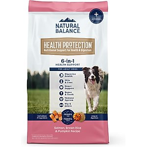 Natural Balance Health Protection Adult Real Salmon, Brown Rice & Pumpkin Dry Dog Food, 22-lb bag