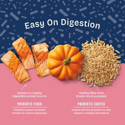 Show full view: Natural Balance Health Protection Adult Real Salmon, Brown Rice & Pumpkin Dry Dog Food, 4-lb bag slide 6 of 12