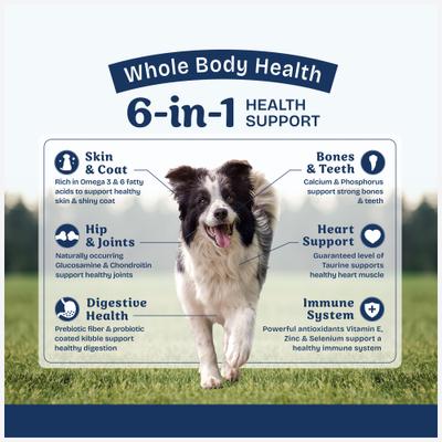 Show full view: Natural Balance Health Protection Adult Real Salmon, Brown Rice & Pumpkin Dry Dog Food, 4-lb bag slide 5 of 12