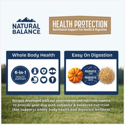 Show full view: Natural Balance Health Protection Adult Real Salmon, Brown Rice & Pumpkin Dry Dog Food, 4-lb bag slide 4 of 12