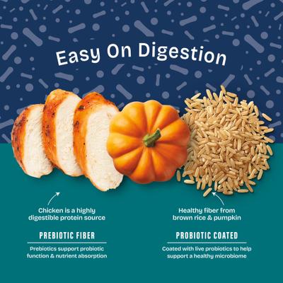 Show full view: Natural Balance Health Protection Puppy Real Chicken, Brown Rice & Pumpkin Dry Dog Food, 12-lb bag slide 6 of 12