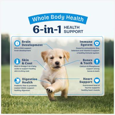 Show full view: Natural Balance Health Protection Puppy Real Chicken, Brown Rice & Pumpkin Dry Dog Food, 12-lb bag slide 5 of 12