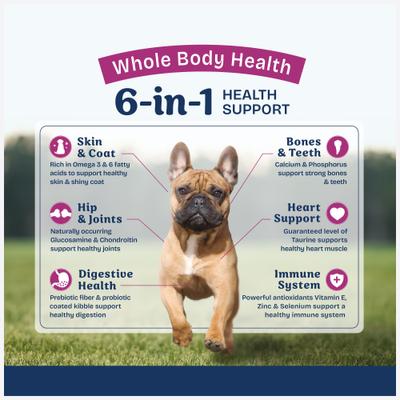 Show full view: Natural Balance Health Protection Small Breed Adult Real Chicken, Brown Rice & Pumpkin Dry Dog Food, 12-lb bag slide 5 of 12