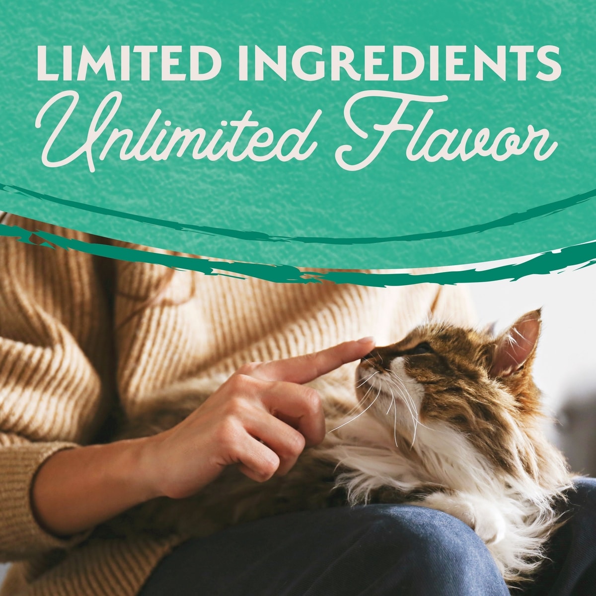 Green Pea Natural Dog Food For Allergies Reference: Natural Balance Limited Ingredient Green Pea Chicken Recipe Grain