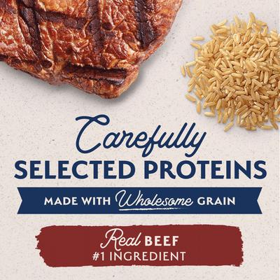 Show full view: Natural Balance Limited Ingredient Beef & Brown Rice Recipe Canned Dog Food, 13-oz can, case of 12 slide 6 of 11