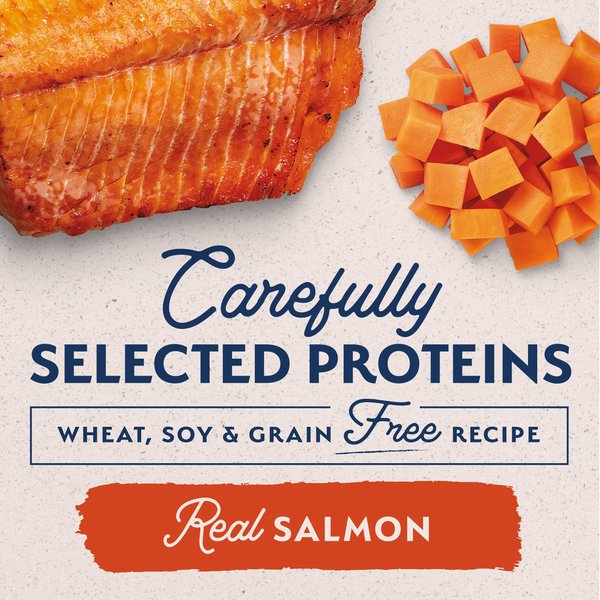Natural Balance Limited Ingredient Grain-Free Sweet Potato & Salmon Wet Dog Food