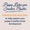 Show in main carousel: Natural Balance Limited Ingredient Diet Reserve Grain-Free Duck & Potato Puppy Recipe Dry Dog Food, 22-lb bag slide 6 of 12