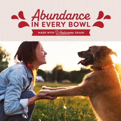 Show full view: Natural Balance Original Ultra Beef Recipe Wet Dog Food, 13-oz can, case of 12 slide 7 of 11