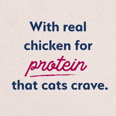 Show full view: Natural Balance Original Ultra Chicken Meal & Salmon Meal Formula Dry Cat Food, 30-lb bundle  slide 10 of 11