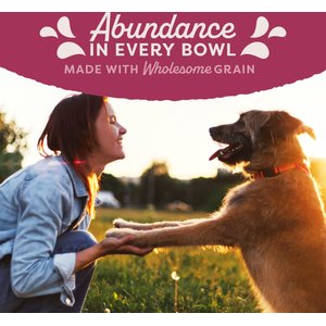 Natural Balance Original Ultra Fat Dogs Low Calorie Weight Management Chicken & Salmon Recipe in Broth Wet Dog Food, 13-oz can, case of 12