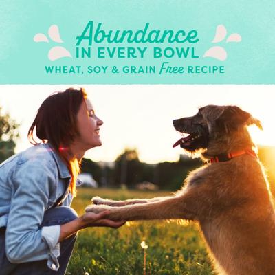 Show full view: Natural Balance Original Ultra Grain-Free Chicken Formula Dry Dog Food, 24-lb bag slide 10 of 11