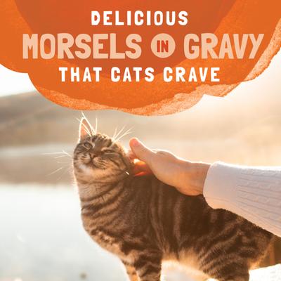 Show full view: Natural Balance Platefulls Turkey, Chicken & Duck Formula in Gravy Grain-Free Cat Food Pouches, 3-oz pouch, case of 24 slide 9 of 11