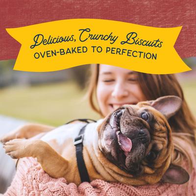 Show full view: Natural Balance Rewards Bison Flavored Crunchy Biscuit Dog Treats, 14-oz bag slide 7 of 12
