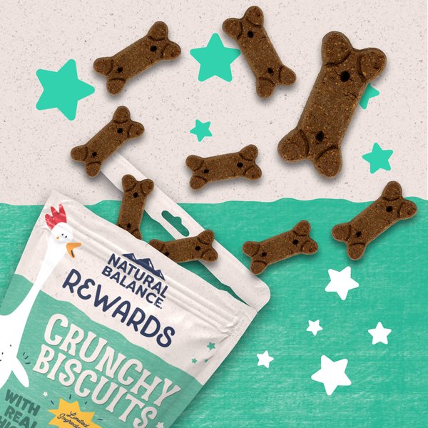 Natural Balance Rewards Chicken Flavored Crunchy Biscuit Dog Treats