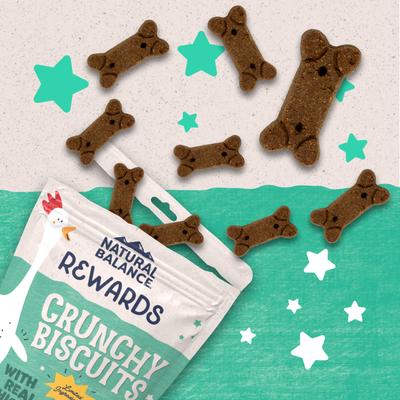 Show full view: Natural Balance Rewards Chicken Flavored Crunchy Biscuit Dog Treats, 14-oz bag slide 5 of 11