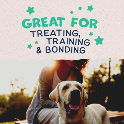 Show full view: Natural Balance Rewards Chicken Flavored Crunchy Biscuit Dog Treats, 14-oz bag slide 7 of 11