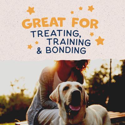 Show full view: Natural Balance Rewards Duck Flavored Crunchy Biscuit Dog Treats, 28-oz bag slide 9 of 11