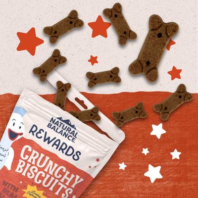 Show full view: Natural Balance Rewards Salmon Flavored Crunchy Biscuit Dog Treats, 14-oz bag slide 5 of 11
