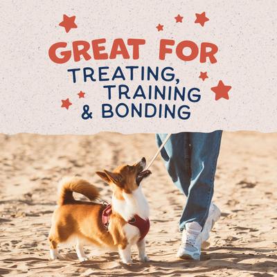 Show full view: Natural Balance Rewards Small Breed Salmon Flavored Crunchy Biscuit Dog Treats, 8-oz bag slide 9 of 10